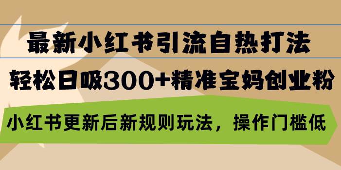 (10.29)最新小红书引流自热打法，轻松日吸300+精准宝妈创业粉，小红书更新后新
