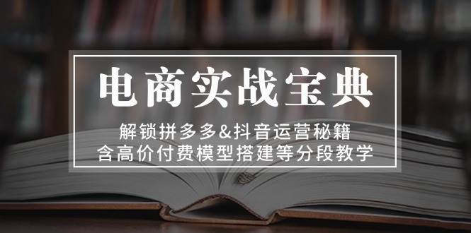 (11.4)电商实战宝典 解锁拼多多&抖音运营秘籍 含高价付费模型搭建等分段教学